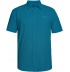 BLUE CORAL