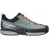 CONIFER-GRAY